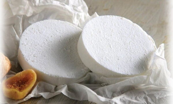 Close-up of round pieces of Greek ‘Manouri’ soft white table-cheese